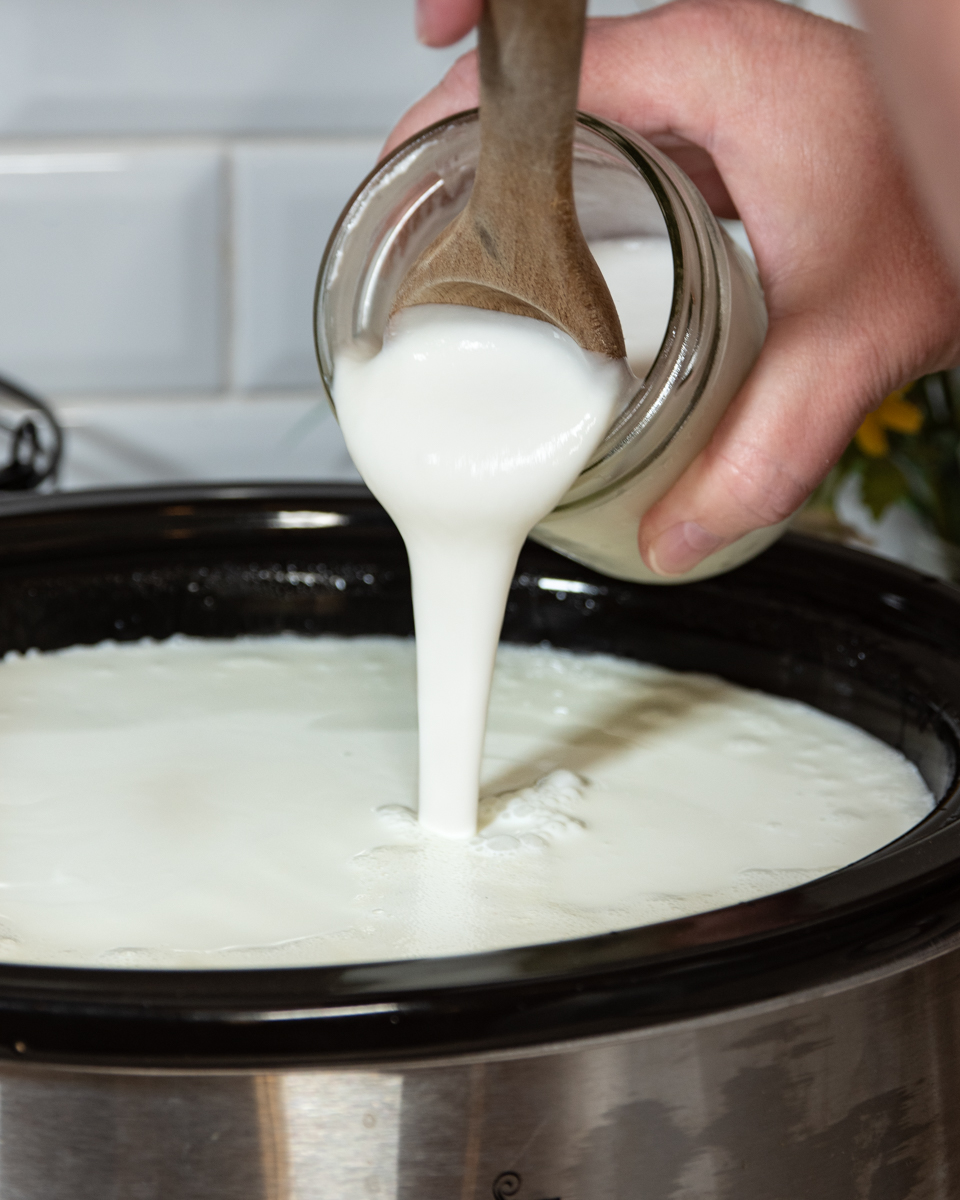 Homemade Crock Pot Yogurt
